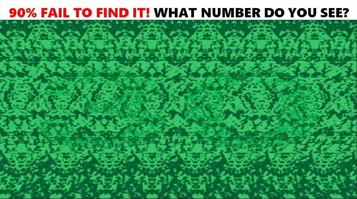 Picture Puzzles: Super Power Brain Test! Spot The Hidden Number Within 11  Seconds