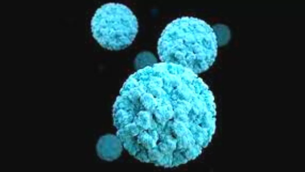 What is norovirus?