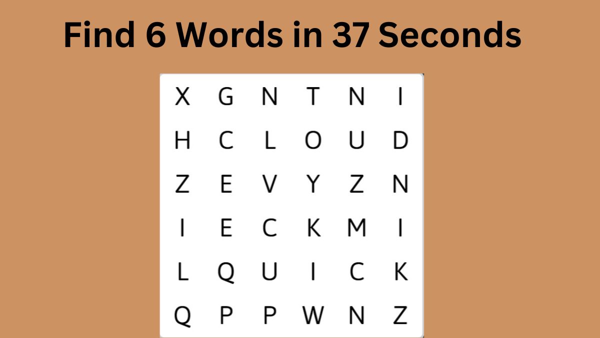 Word Search Puzzle: Can you find 6 words in the image within 37 ...