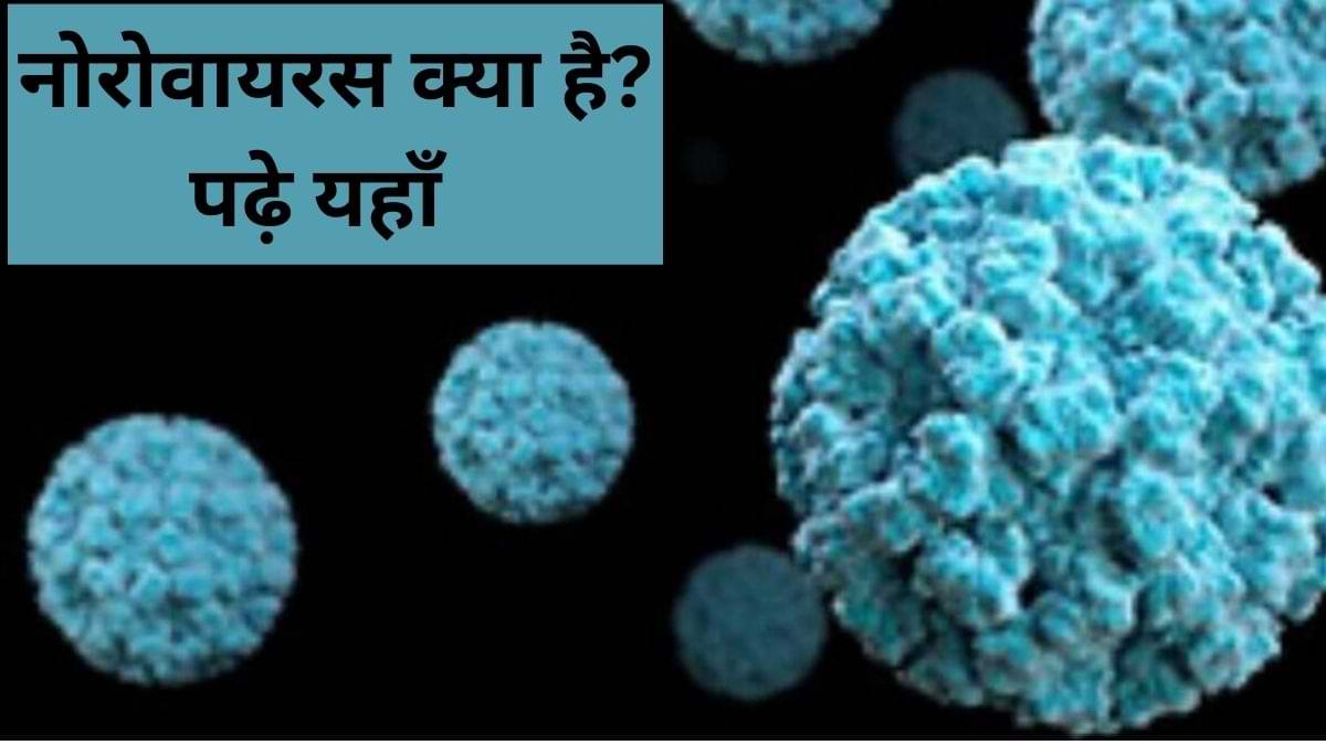 नोरोवायरस क्या है? जिसके दो मामलों की पुष्टि केरल में हुई