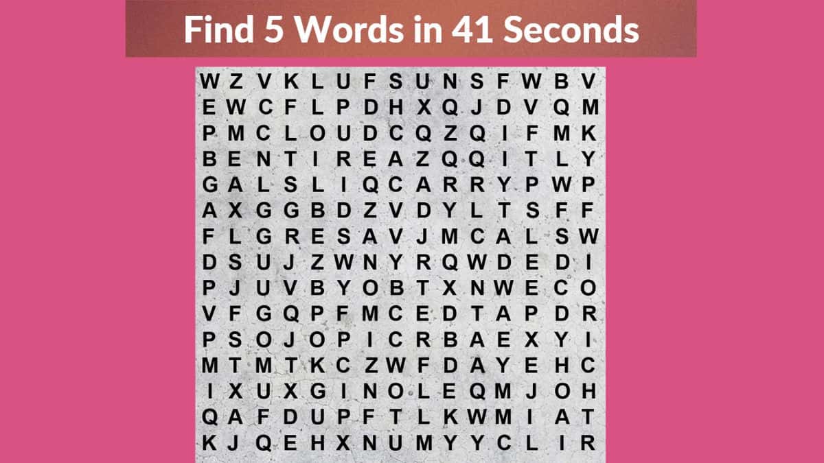 Word Search Puzzle Can You Find 5 Words In The Image Within 41 Seconds 