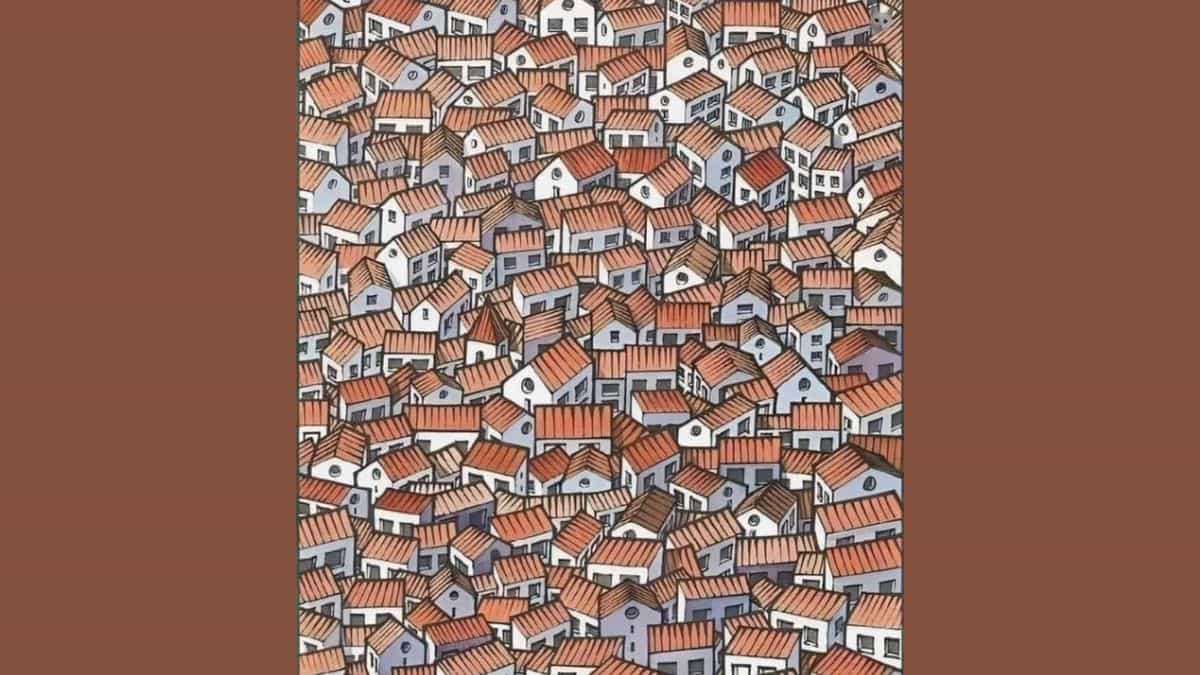 Find Cat among Houses in 5 Seconds