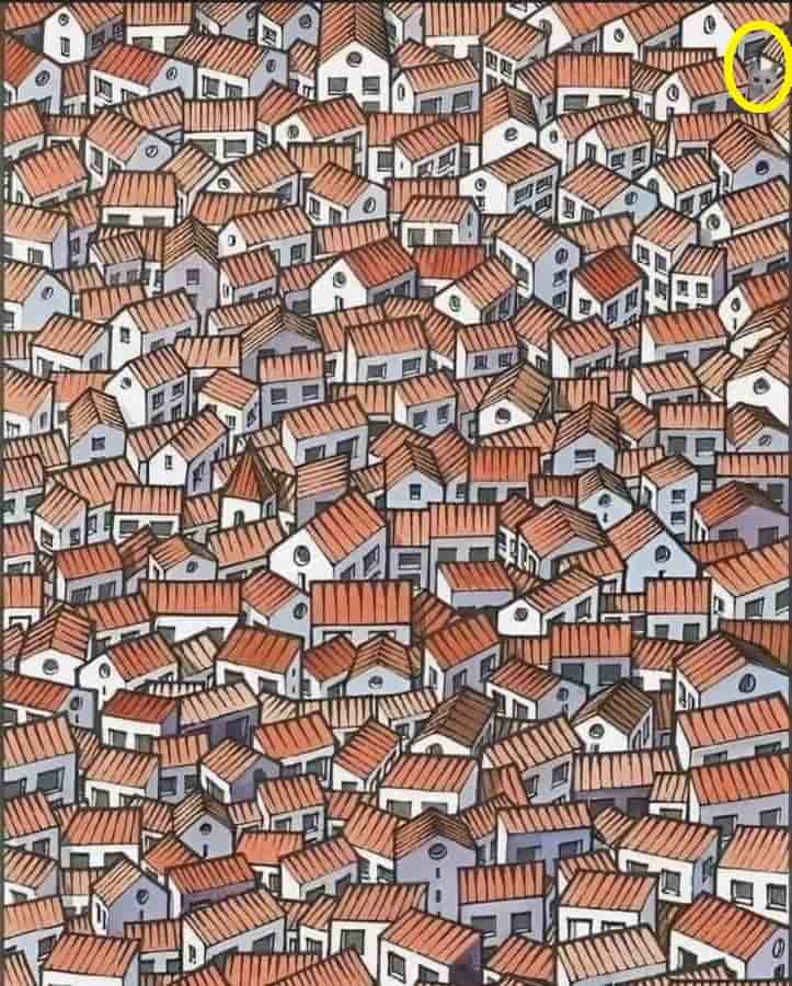 Optical Illusion Challenge: In just five seconds, can you see the cat ...