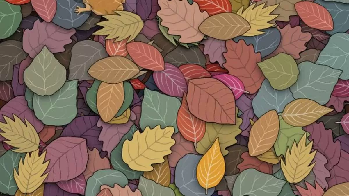 Optical Illusion For Testing Your Iq Only 2 Can Spot The Hidden Frog Between The Leaves In 7 Secs 