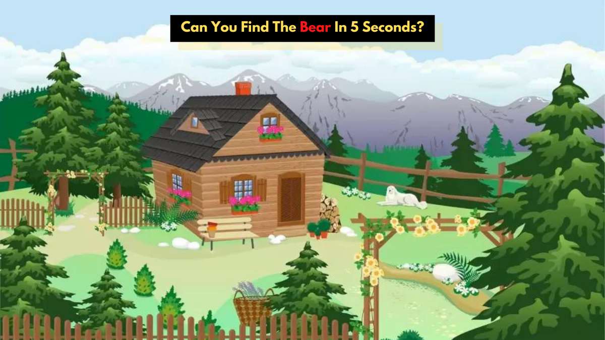 Brain Teaser IQ Test Challenge: Can You Find The Bear On The Farm In 5 Seconds?