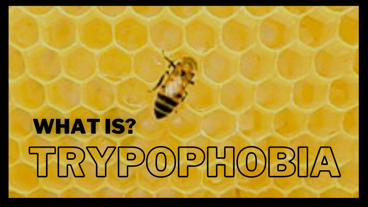 What Is Trypophobia? Find Out About The Symptoms, Causes, Cure, And More