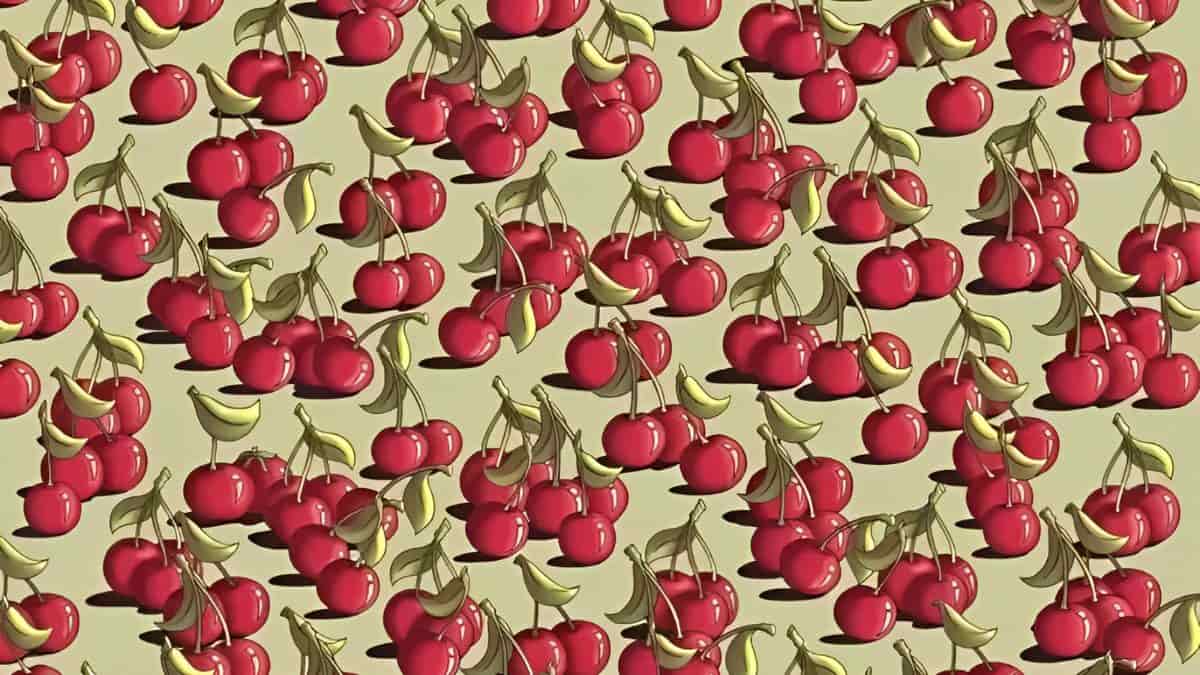 Find Tomato Among Cherries in 9 Seconds