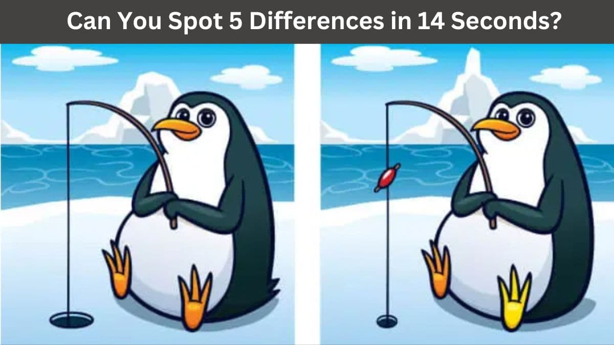 Can You Spot 5 Differences in 14 Seconds?