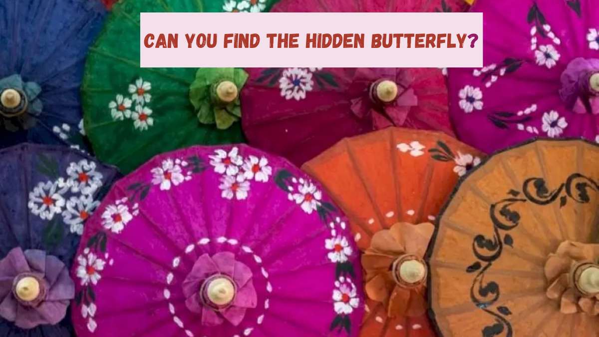 Tough Optical Illusion: Only 1% Geniuses Can Find The Butterfly Hiding In This Image Within 12 Seconds. 