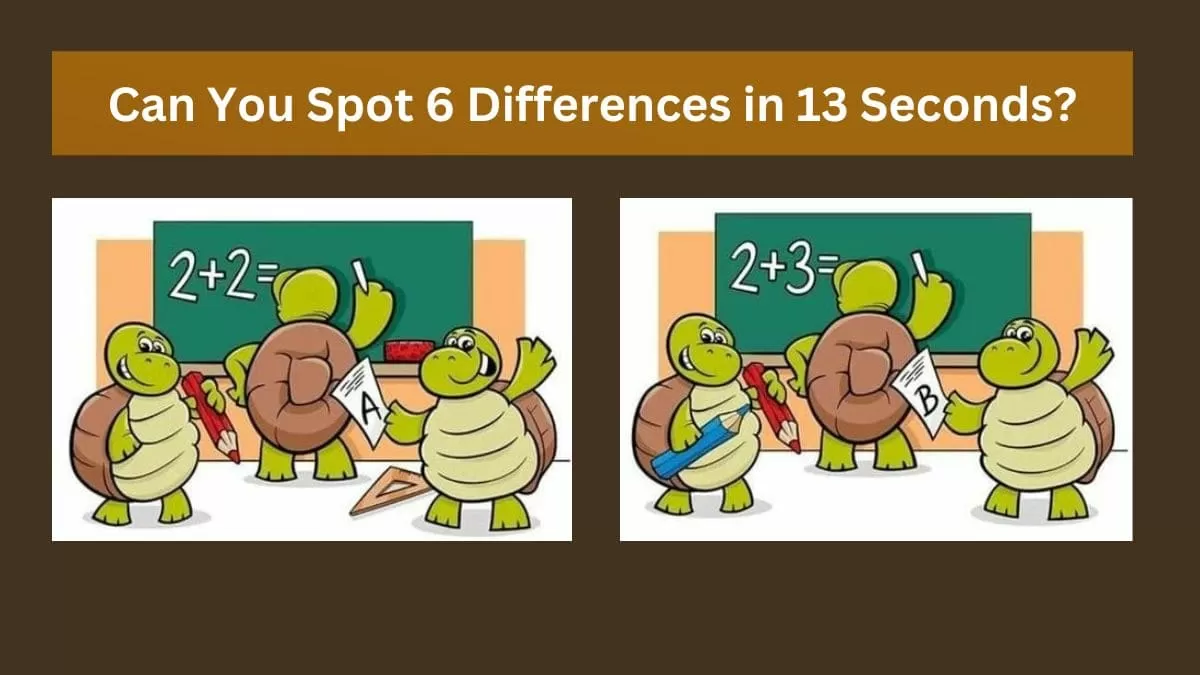 Spot The Difference: Can you spot 5 differences between the two images in  13 seconds?