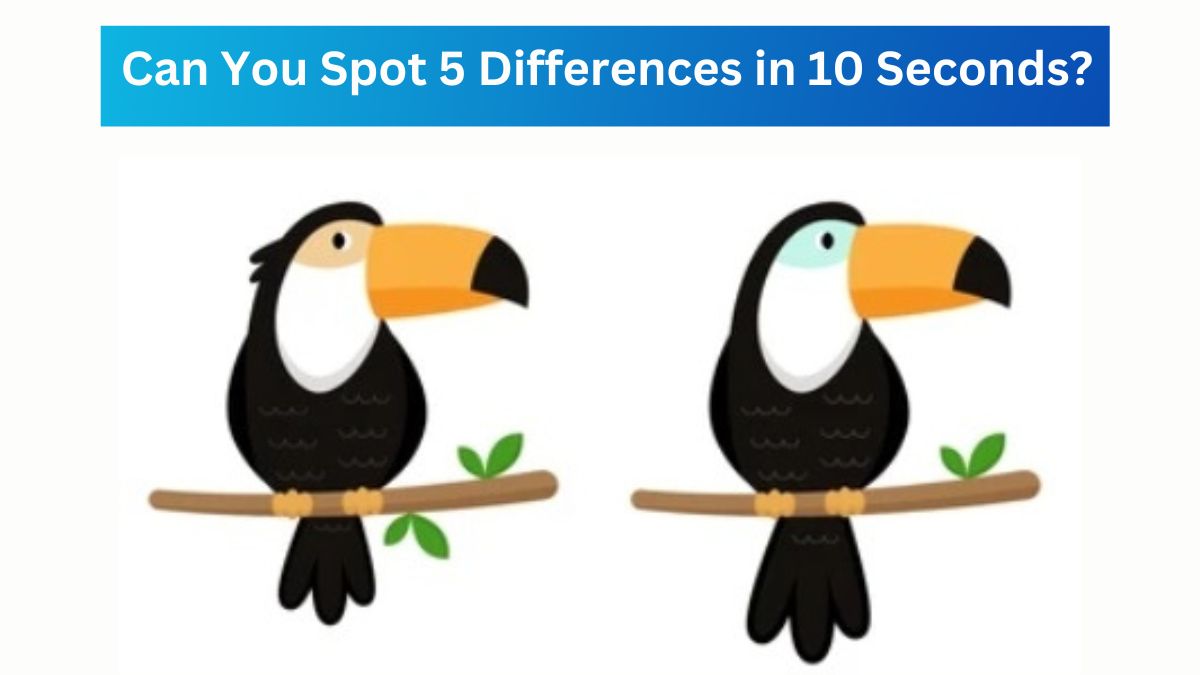 Can You Spot 5 Differences in 10 Seconds?