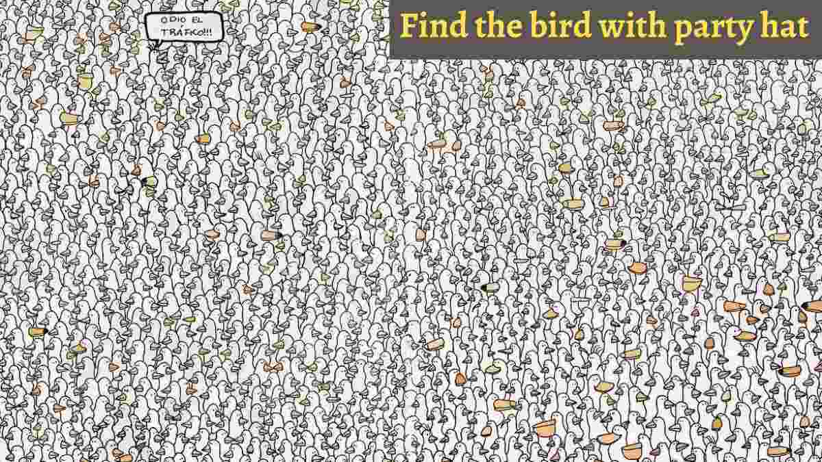 Brain Teaser Challenge: People With Exceptional Observation Skills Can Find The Bird With The Party Hat In 9 Secs! If you think you are someone with an exceptional observation skill, then you need to 