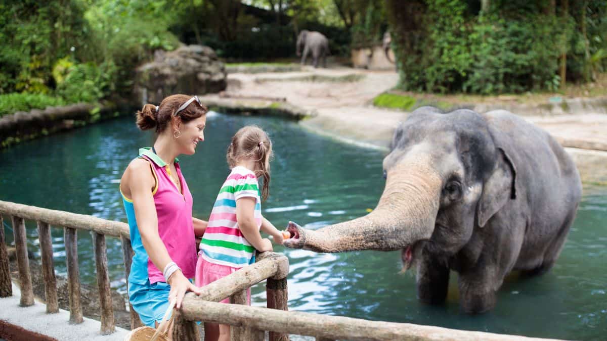 list-of-top-ten-best-zoos-in-the-world