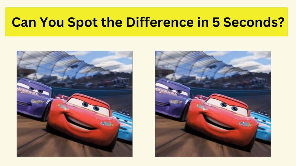 Can You Spot the Difference in 5 Seconds?