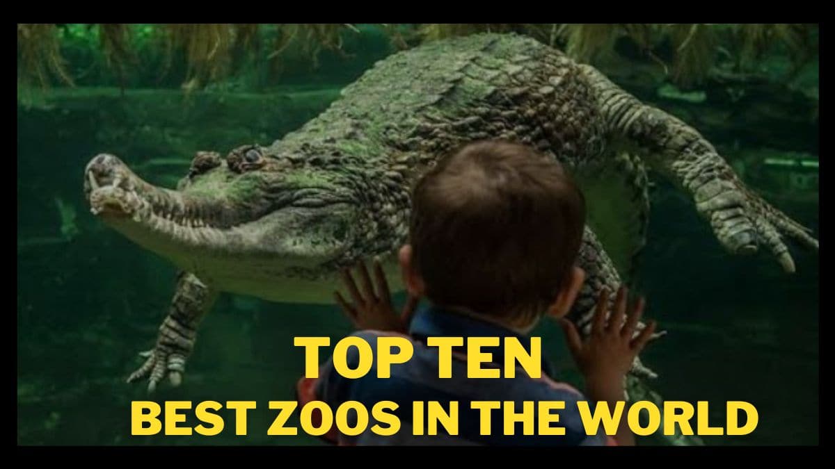 List of Top Ten Best Zoos In The World