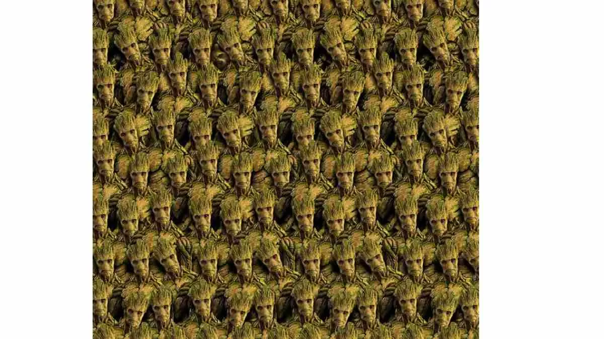 Can you spot Racoon hidden among the image of Groot?