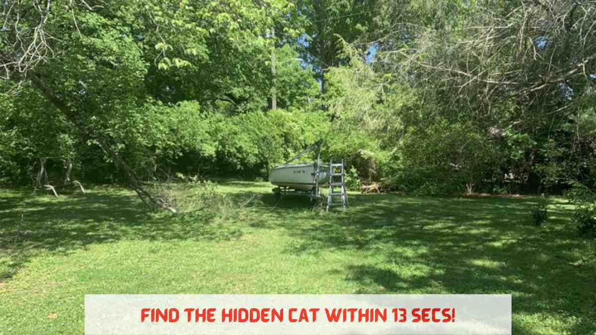 Optical Illusion IQ Test: Only Experts Can Spot The Cat In The Park Within 13 Secs!