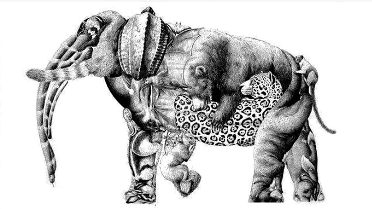 Optical Illusion for Testing Your IQ: How many Animals can you spot inside  Elephant in 15 seconds?