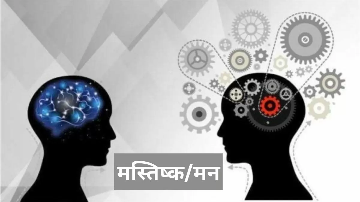 Difference: जानें  Brain और Mind में क्या होता है अंतर 