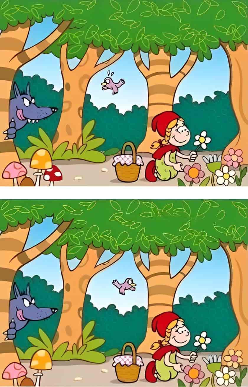 Spot The Difference: Can you spot 4 differences within 19 seconds?