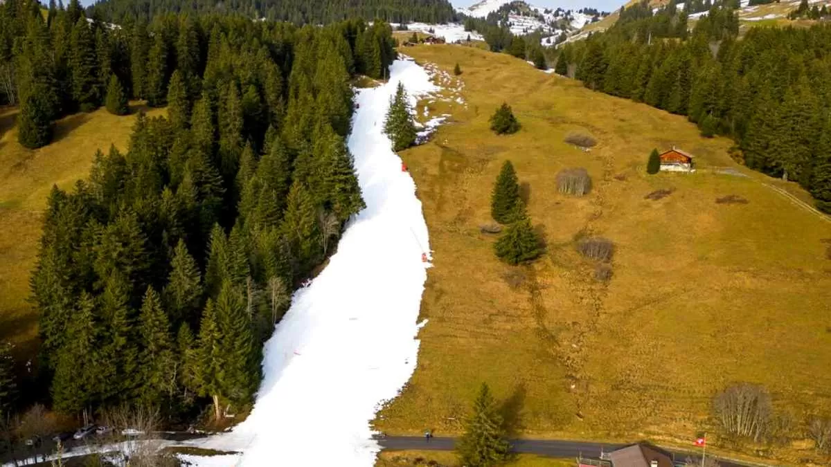 What Is A Winter Heat Wave? Why Is It Happening In Europe?
