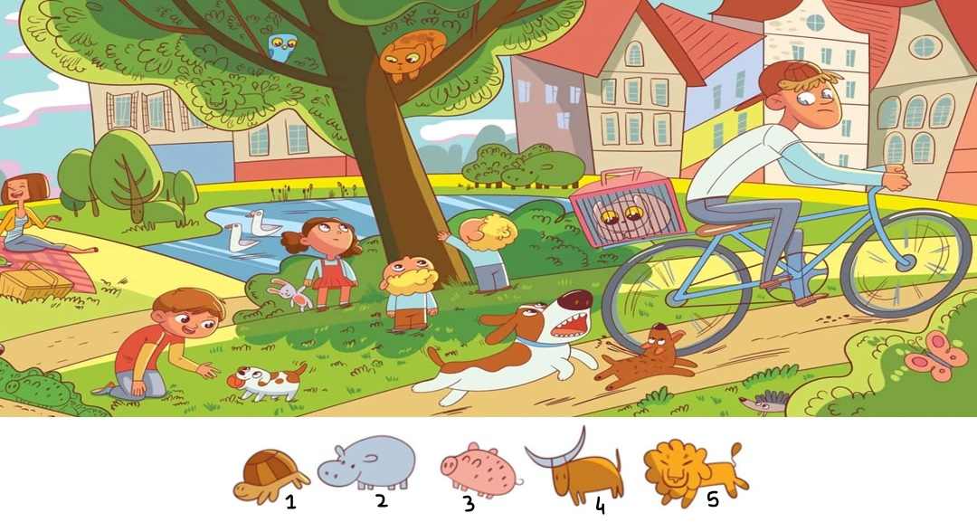 Find Hidden Animals Puzzle