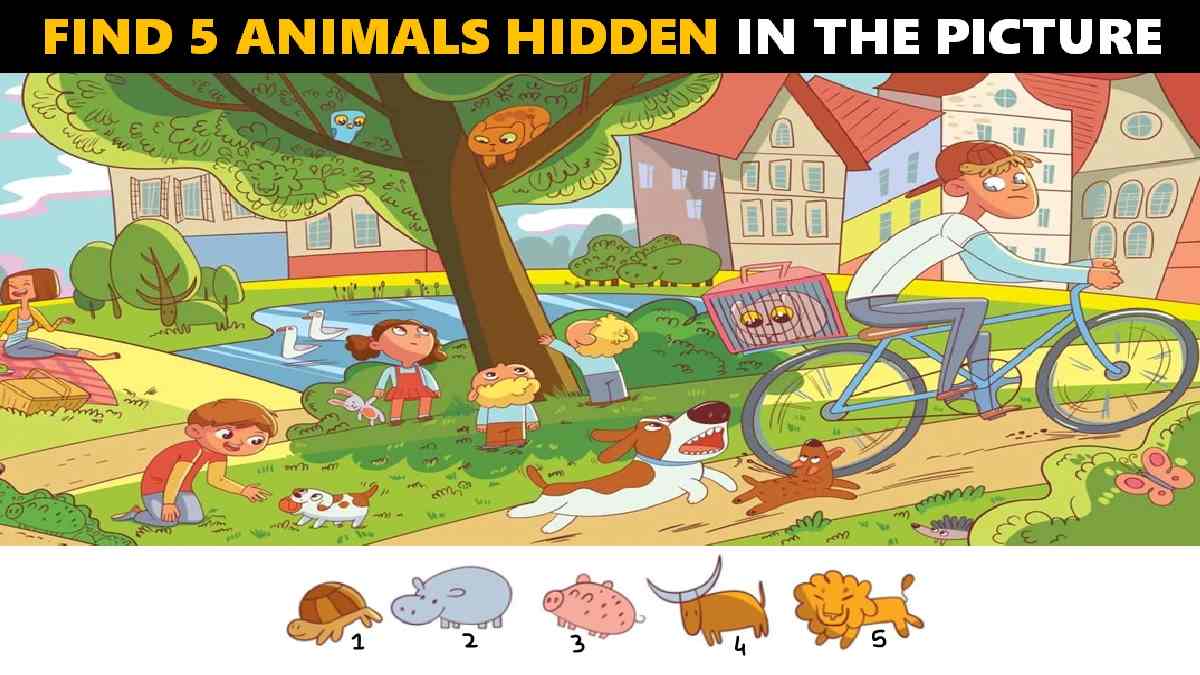 Picture Puzzle How Sharp Is Your Vision Find Hidden Animals In The Picture In 11 Seconds 