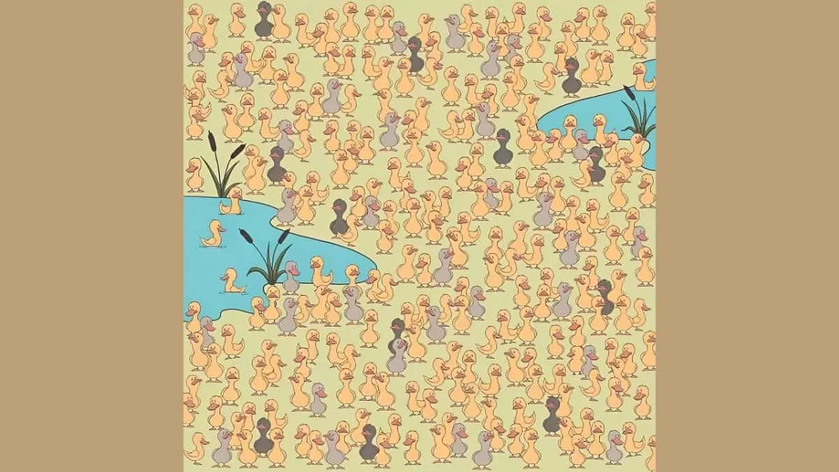 Find Chick Among Ducks in 9 Seconds