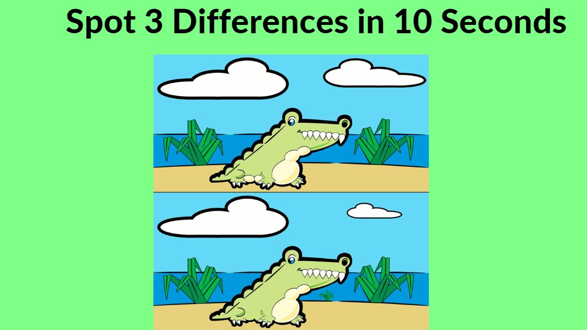 Spot 3 Differences in 10 Seconds