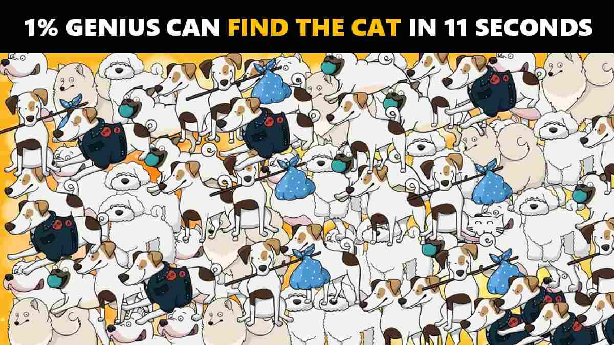 Find The Cat In The Picture Puzzle In 11 Seconds, Only 1% Genius Can Solve This