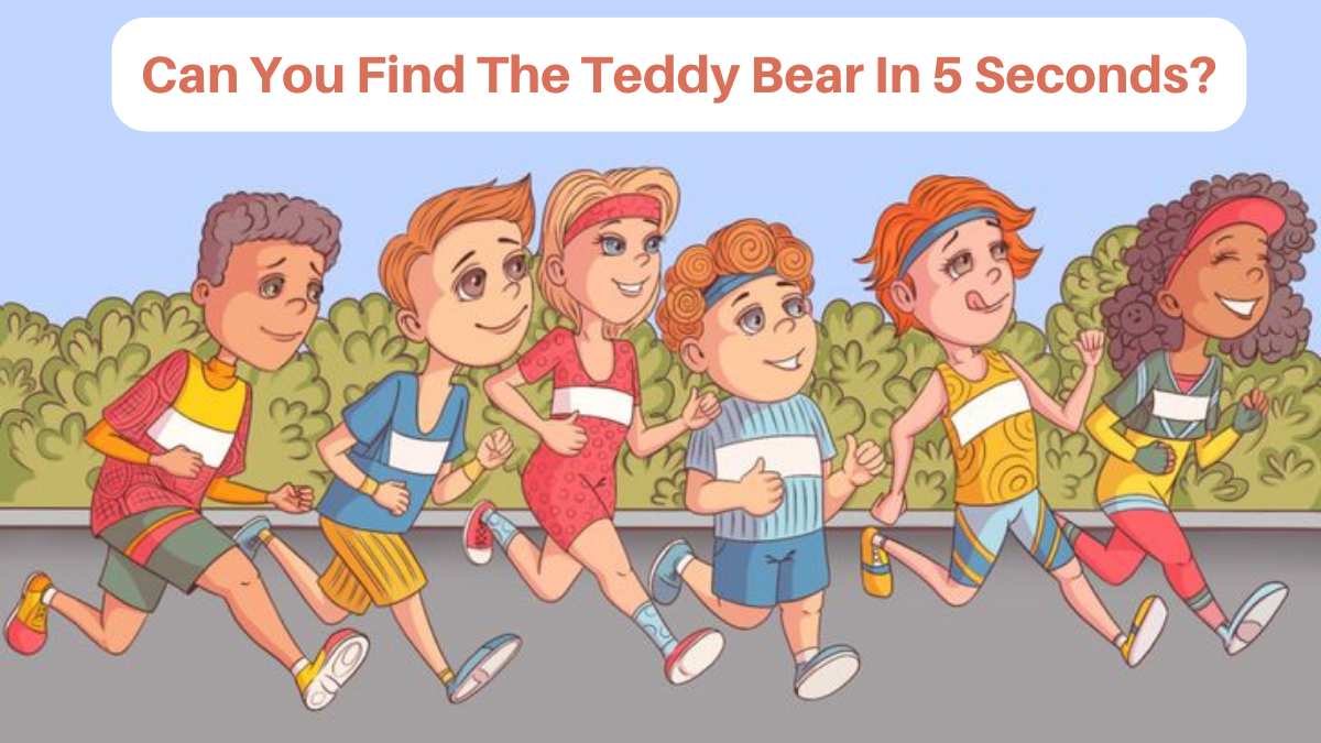 Brain Teaser IQ Test: Are You Observant Enough To Find The Teddy Bear In 5 Seconds?