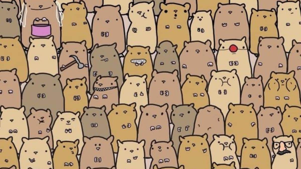 Find Potato among Hamsters in 7 Seconds