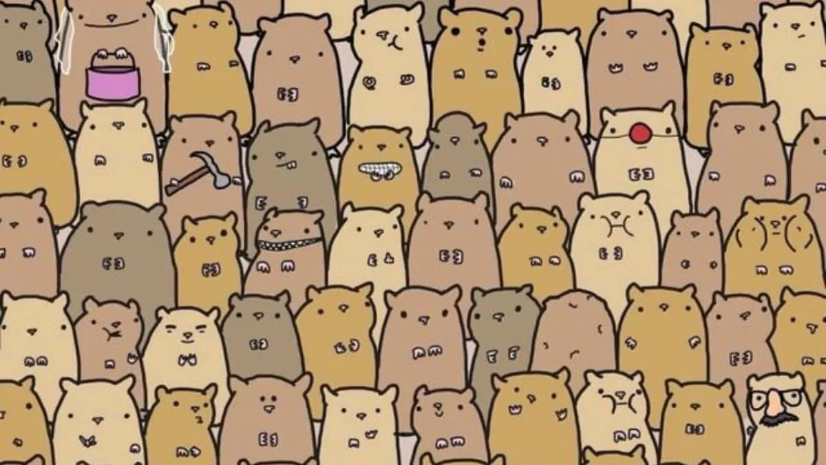 Find Potato among Hamsters in 7 Seconds