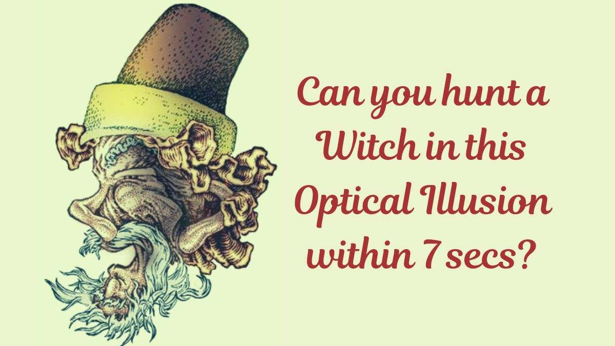 Optical Illusion IQ Test Vintage Puzzle