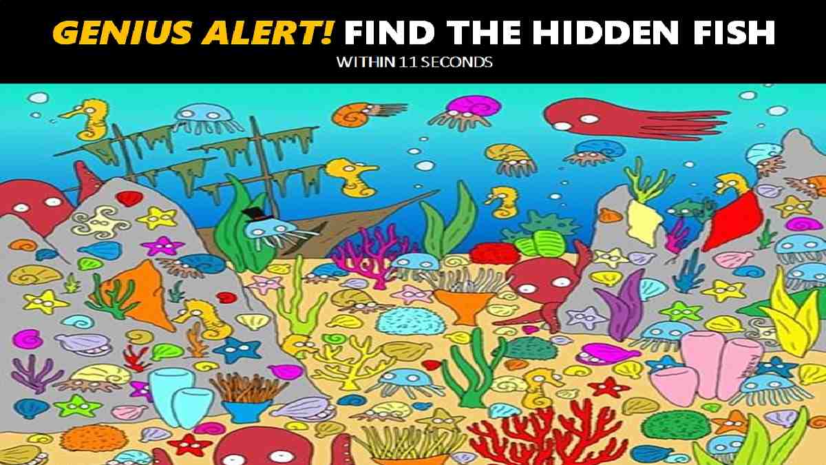 Genius Alert! Can You Find The Hidden Fish In This Picture Puzzle In 11 Seconds? 