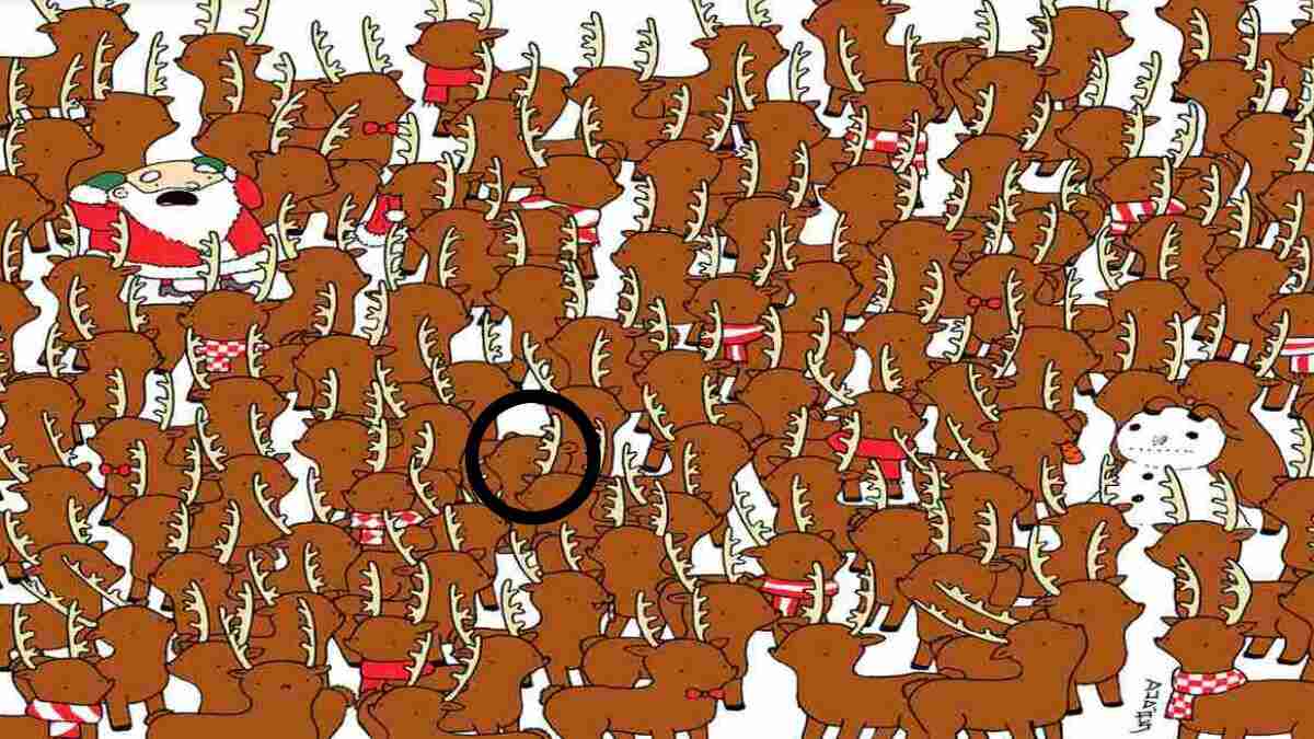 Optical Illusion: Optical illusions have a way of deceiving our senses