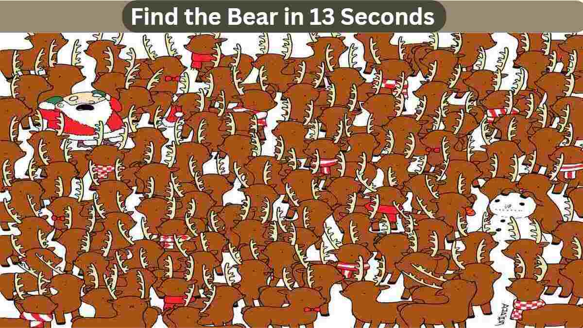 Are You as Sharp as You Think? Can You Find the Bear in This Crowded Picture