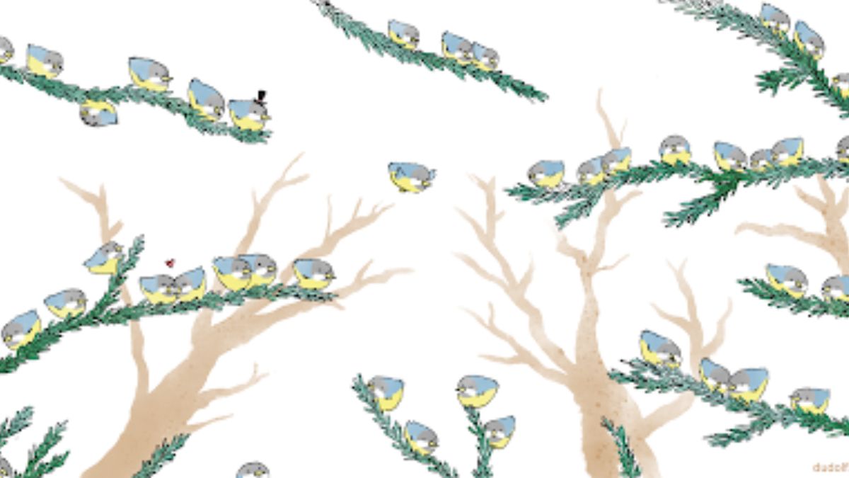 can you count all the birds