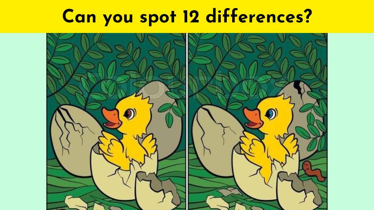 You have the greatest pair of eyes if you can spot 12 differences in ...