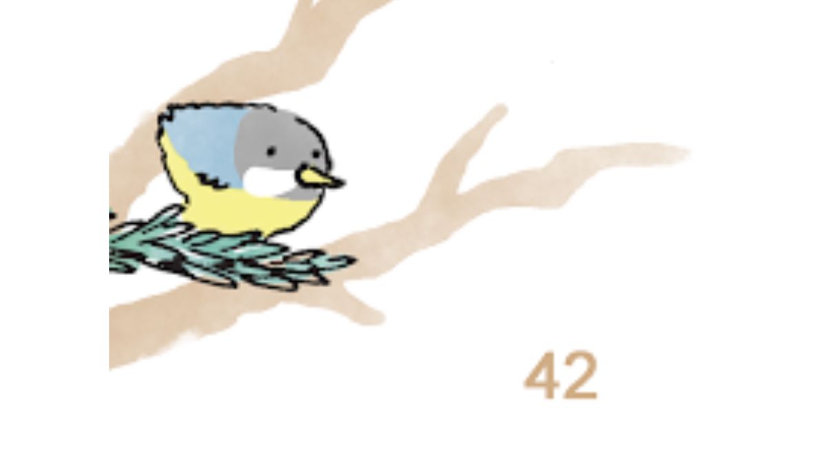 the total number of birds