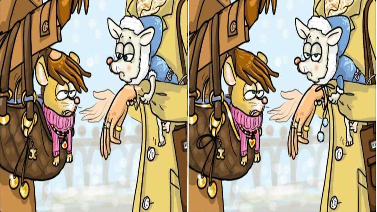 Spot 10 differences in 11 Seconds