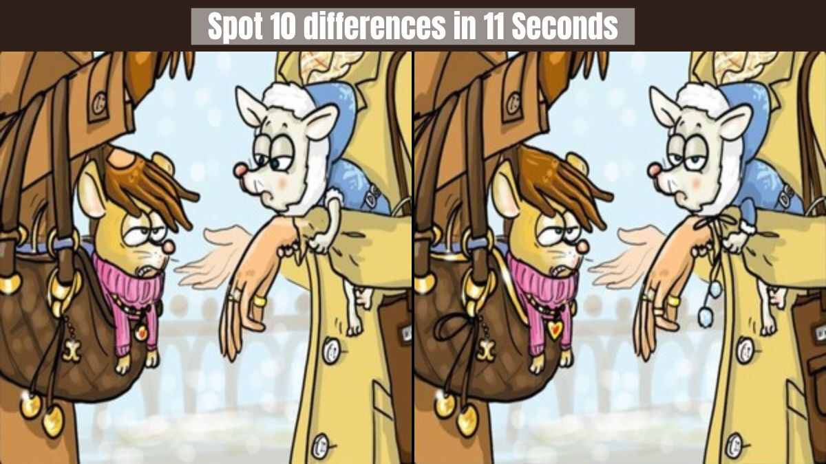 This is the Ultimate Test of Your Visual Acuity