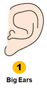 Personality Test: Your Ear Shape Reveals Your Hidden Personality Traits