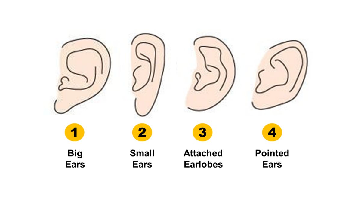 Personality Test: Your Ear Shape Reveals Your Hidden Personality Traits
