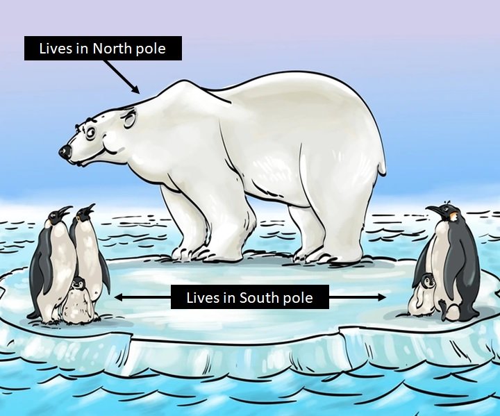 find the mistake in the picture with answers