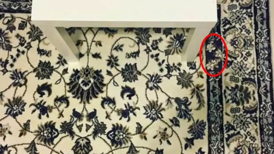 hidden optical illusions answers