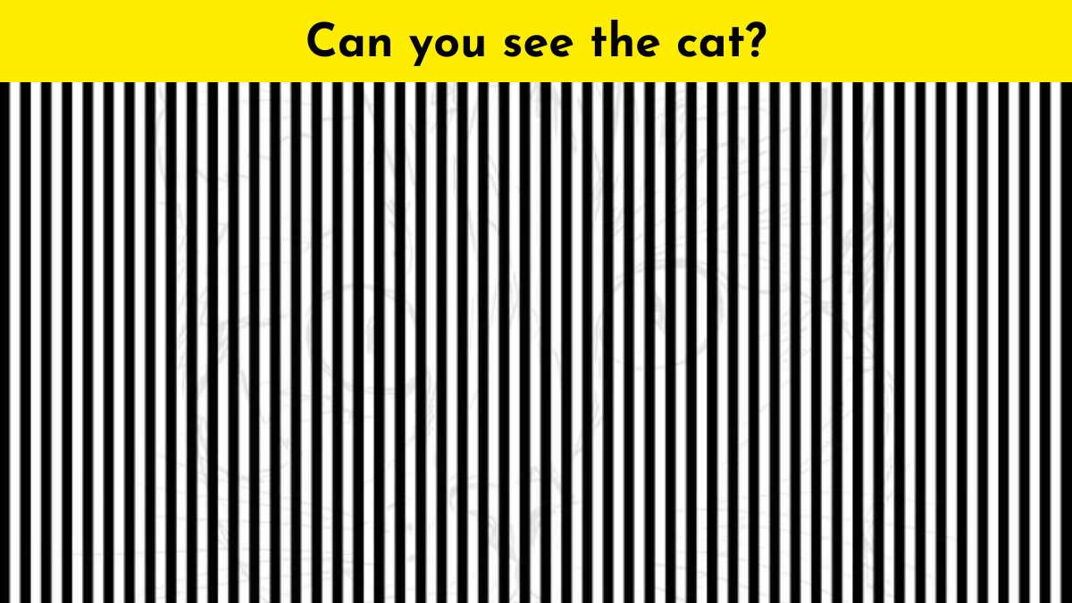 Only individuals with unique eyesight can spot the cat hidden behind ...