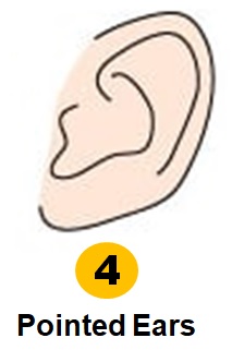 Personality Test: Your Ear Shape Reveals Your Hidden Personality Traits