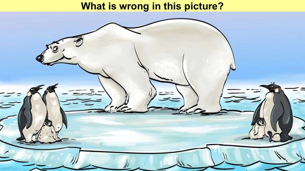 Only Top 1% with High Intelligence Can Spot The Mistake Within 5 Seconds!