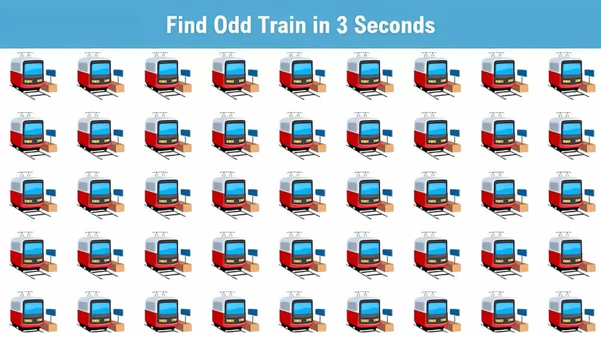 Seek and Find: Find odd train